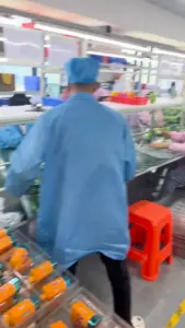 Workers at the FiHP 600K 6in1 production line and devices arranged in trays